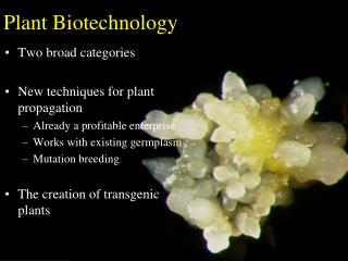 Plant Biotechnology