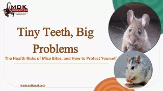 Tiny Teeth, Big Problems