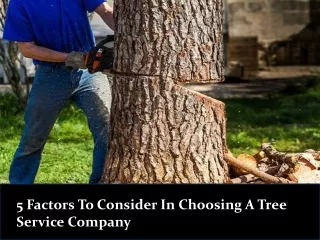 5 Factors To Consider In Choosing A Tree Service Company