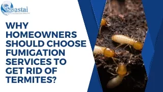 Why Homeowners Should Choose Fumigation Services to Get Rid of Termites?