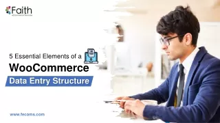 5 Essential Elements of a WooCommerce Data Entry Structure