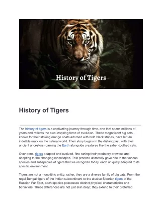 History-of-Tigers