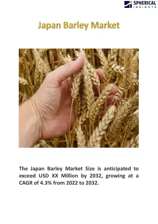 Japan Barley Market