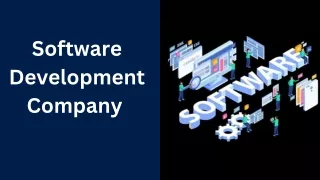 Software Development Company