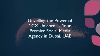 social media marketing Dubai