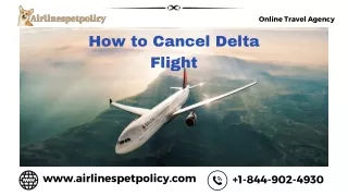 How to Cancel Delta Flight | 24 Hour Refund Policy & Fee