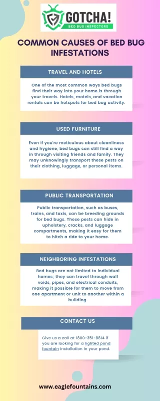 Common Causes of Bed Bug Infestations
