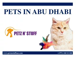 PETS IN ABU DHABI