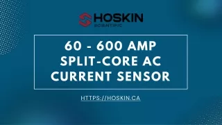 60 - 600 Amp Split-core AC Current Sensor | Hoskin Scientific