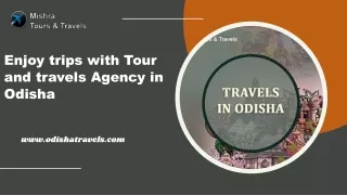 Enjoy trips with Tour and travels Agency in Odisha