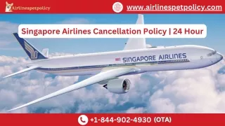 Singapore Airlines Cancellation Policy  24 Hour