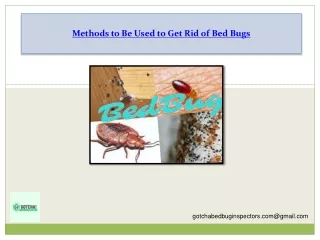 Methods to Be Used to Get Rid of Bed Bugs