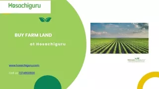 Buy Farm Land - Hosachiguru