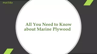 All You Need to Know about Marine Plywood