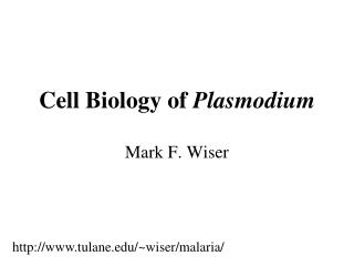 Cell Biology of Plasmodium