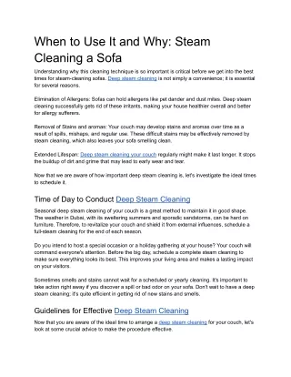 When to Use It and Why - Steam Cleaning a Sofa