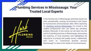 Plumbing Services in Mississauga