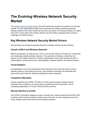 Evolving Wireless Network Security Market