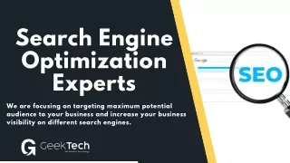 Search Engine Optimization Experts