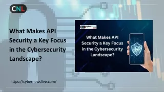 What Makes API Security a Key Focus in the Cybersecurity Landscape?