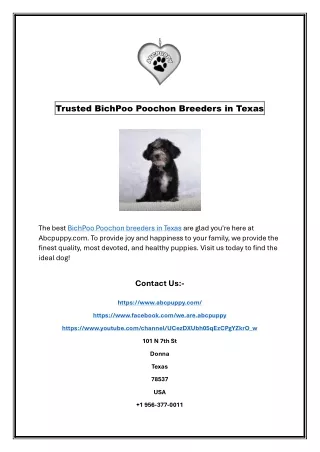 Trusted BichPoo Poochon Breeders in Texas