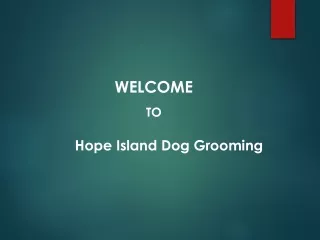 Small Dog Grooming in Coomera