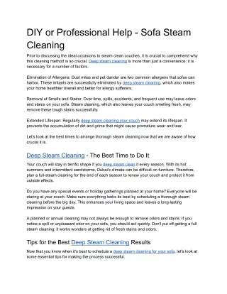 DIY or Professional Help - Sofa Steam Cleaning