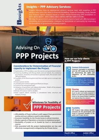 Flyer for Advising on PPP Projects