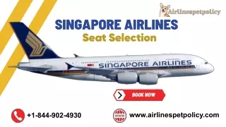 How Do I Choose My Seat on Singapore Airlines?