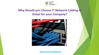 Why Should you Choose IT Network Cabling in Dubai for your Company