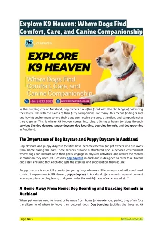 Explore K9 Heaven_ Where Dogs Find Comfort, Care, and Canine Companionship