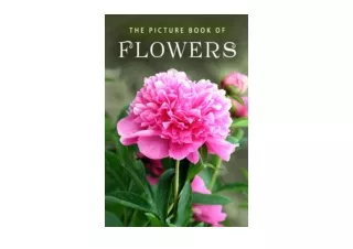 Kindle online PDF The Picture Book of Flowers A Gift Book for Alzheimers Patient