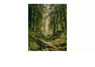 Download Forest Bathing Journal A guided journal for recording your walking prac