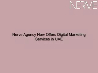 Nerve Agency Now Offers Digital Marketing Services in UAE