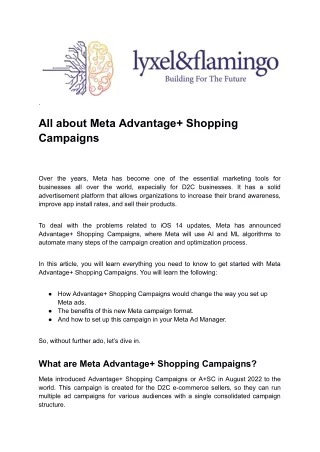 All about Meta Advantage  Shopping Campaigns By Lyxel&Flamingo