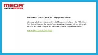 Ants Control Expert Abbotsford  Megapestcontrol.com