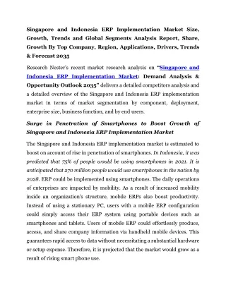 Singapore and Indonesia ERP Implementation Market Analysis Report 2035