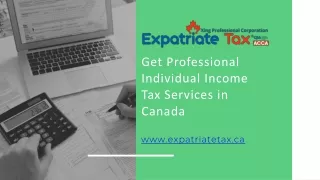 Get Professional Individual Income Tax Services in Canada