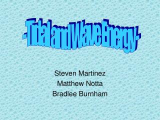 Steven Martinez Matthew Notta Bradlee Burnham