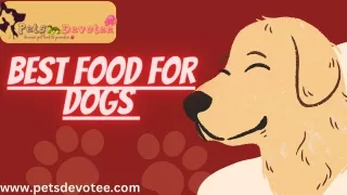 Best food for dogs