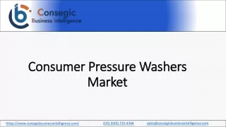 Consumer Pressure Washers Market