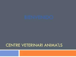 Mejor servicio de Veterinario Cerca Mío en El Turó de la Peira