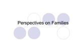 Perspectives on Families