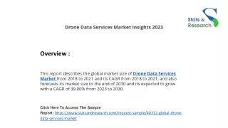 Drone Data Services Market