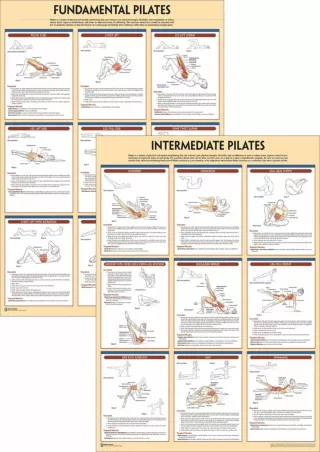 [PDF READ ONLINE] Pilates Anatomy Poster Series full