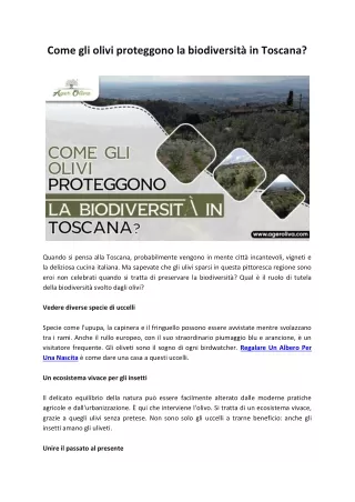 Come gli olivi proteggono la biodiversità in Toscana