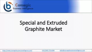 Special and Extruded Graphite Market