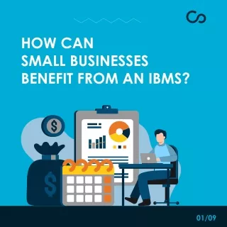 How Can Small Businesses Benefit from IBMS