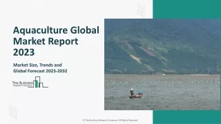 Global Aquaculture Market Report By Size, Share And Forecast To 2023-2032