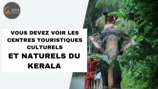 Vous devez voir les centres touristiques culturels et naturels du Kerala